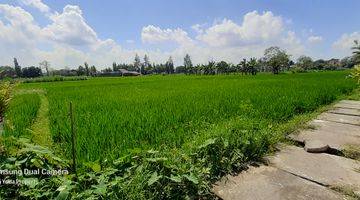 Gambar 3 Tanah Sawah Di Dekat Jl. Cepit-Tembi Bantul