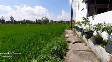 Gambar 4 Tanah Sawah Di Dekat Jl. Cepit-Tembi Bantul