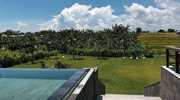 Gambar 1 Turun Harga...villa With Rice Field View And Massive Garden At Babakan Canggu.... Just 12 Minutes To Batubolong And Echo Beach , 15 Minutes To Pererenan Beach And 20 Minutes To Berawa Beach And Atlas Beach Club 