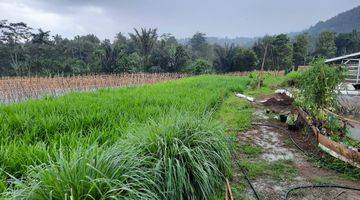 Gambar 5 Tanah/Kavling Desa Wanayasa, Curug Cipurut, Purwakarta, Cocok untuk Area Pariwisata