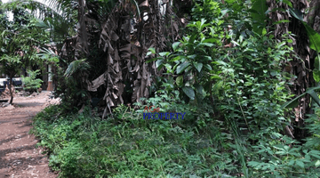 Gambar 3 Tanah Dijual Cepat Di Kawasan Ciangsana Cocok Untuk Bangun Usaha