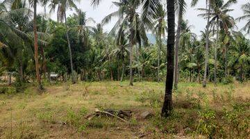 Gambar 5 Tanah Beachfront di Desa Les Buleleng Bali