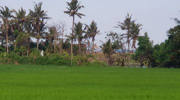 Gambar 1 Tanah 8 Are View Pantai Lingkungan Villa di Ketewel Gianyar