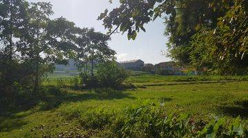 Gambar 5 Tanah 8 Are View Pantai Lingkungan Villa di Ketewel Gianyar