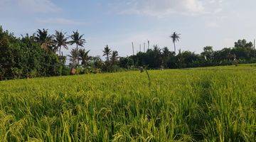 Gambar 3 Buc 3 Are Lingkungan Villa di Ketewel Gianyar Bali