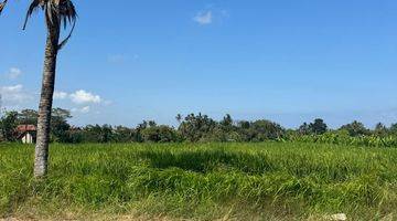 Gambar 1 Tanah Itr Kuning View Sawah di Tegenung Gianyar Bali