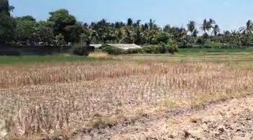 Gambar 4 Buc 5 Are View Pantai Dan Sawah di Lebih Gianyar Bali