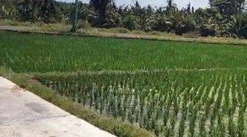 Gambar 1 Buc 5 Are View Pantai Dan Sawah di Lebih Gianyar Bali