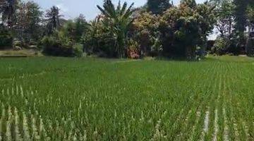 Gambar 5 Buc 5 Are View Pantai Dan Sawah di Lebih Gianyar Bali