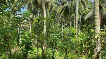 Gambar 5 Land For Sale In Tabanan / Freehoold  Di Salemadeg Barat , Selemadeg Tanah Shm 26 Are