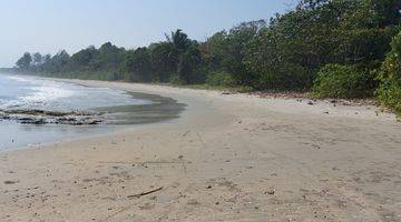 Gambar 5 Land For Sale In MENTAWAI ISLAND ( SIBERUT ISLAND ) 