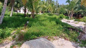 Gambar 3 Katiet Beachfront Land For Sale Mentawai Islands