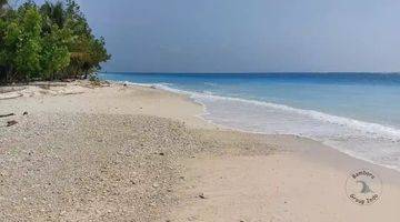 Gambar 5 Katiet Beachfront Land For Sale Mentawai Islands