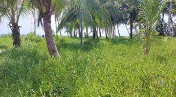 Gambar 2 Katiet Beachfront Land For Sale Mentawai Islands