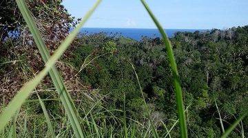 Gambar 1 LAHAN BAGUS DEKAT PANTAI