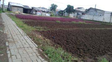 Gambar 1 DIjual Tanah 2100 M2 di Sepatan Tangerang 