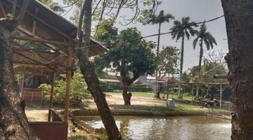 Gambar 2 Dijual Tanah di Jalan Raya Kampung Melayu - Teluk Naga Tangerang.