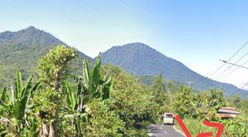 Gambar 4 Beautiful Freehold Land Tamblingan Lake Views And Mountains View 1,1 Hectare Perfect For Commercial Property