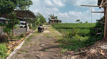 Gambar 4 Freehold Land Munggu Pemaron Easy Access to Canggu or Pererenan Area