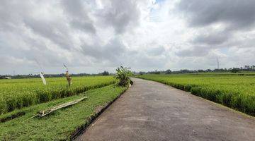 Gambar 4 Freehold Land Nyanyi Beach Tabanan Only 10 Minutes Drive to The Beach