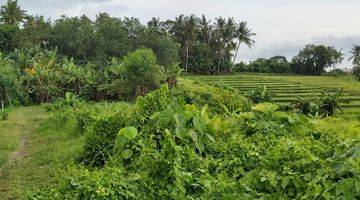 Gambar 3 Lease Hold Land Babakan Canggu 15 are Only 15 Minutes to Batubolong Beach