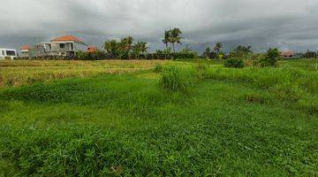 Gambar 4 Lease Hold Land Babakan Canggu 15 are Only 15 Minutes to Batubolong Beach