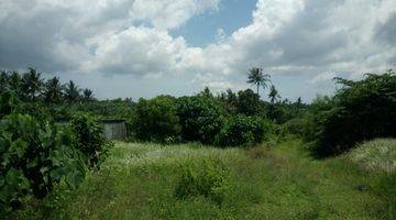 Gambar 5 Lease Hold Land Babakan Canggu 15 are Only 15 Minutes to Batubolong Beach