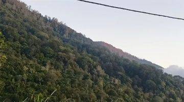 Gambar 5 Great Investment Unobstructed Views Gessing Bedugul 1,5 Hectare To 3 Hectare Freehold Land Suitable For Resort Development.