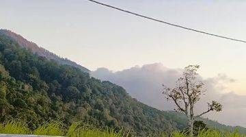 Gambar 4 Great Investment Unobstructed Views Gessing Bedugul 1,5 Hectare To 3 Hectare Freehold Land Suitable For Resort Development.