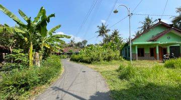 Gambar 3 Dekat Kampus UKDW Sedayu Dijual Pekarangan Bantul, SHMP