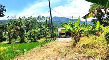 Gambar 5 Tanah 1,6 Ha Siap Bangun Strategis Jl.raya Cigudeg Bogor Barat