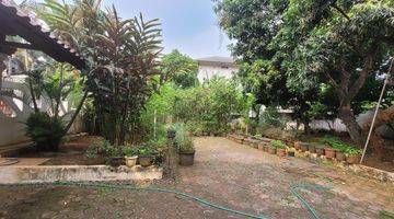 foto lainnya tanah shm di jalan selat