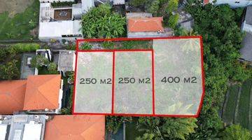 Gambar 4 Rare Land In The Prime Location Heart Of Berawa