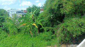 Gambar 2 23.86 Are Prime Land For Lease In Kerobokan Bloc 40