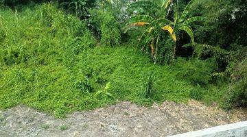 Gambar 1 23.86 Are Prime Land For Lease In Kerobokan Bloc 40