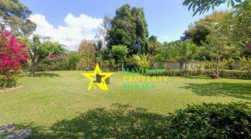 Gambar 3 Beautiful Villa With Big Wonderful Garden, Walking Distance To Padang Galak Beach, Sanur
