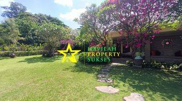 Gambar 4 Beautiful Villa With Big Wonderful Garden, Walking Distance To Padang Galak Beach, Sanur
