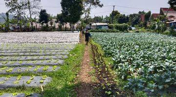 Gambar 3 Di Jual Tanah di Jalan Kolonel Masturi , Jambudipa, Kecamatan. Cisarua, Parongpong Kabupaten Bandung Barat, Jawa Barat