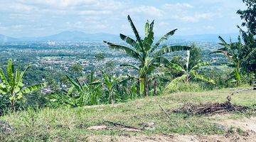 Gambar 2 Tanah Diatas Bukit Bengkaung di Senteluk Batu Layar 