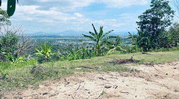 Gambar 3 Tanah Diatas Bukit Bengkaung di Senteluk Batu Layar 