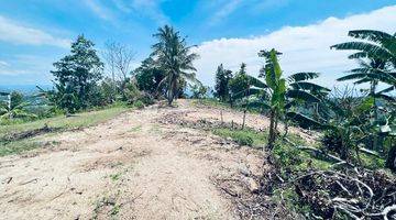 Gambar 4 Tanah Diatas Bukit Bengkaung di Senteluk Batu Layar 