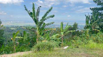 Gambar 5 Tanah Diatas Bukit Bengkaung di Senteluk Batu Layar 