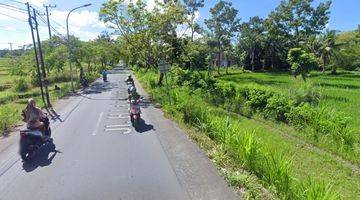 Gambar 1 Tanah Pinggir Jalan Lalu Hasyim Praya Lombok Tengah 