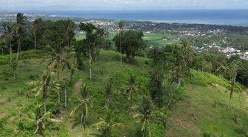 Gambar 1 Tanah Diatas Bukit Bengkaung di Senteluk Batu Layar 