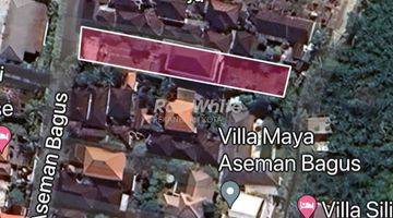 Gambar 3 Rare Plot 7,3 Are Land in Canggu Bali For Sale