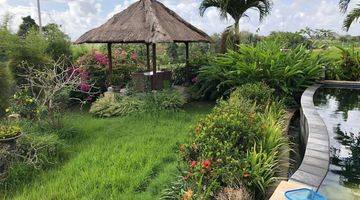 Gambar 2 Spacious Freehold Villa With Rice Paddies View For Sale In Berawa