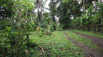 Gambar 4 Dijual Tanah Kebun Cocok Untuk Perumahan Lokasi Tabanan