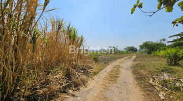 Gambar 4 TANAH SIAP BANGUN COCOK UNTUK PERUMAHAN DAERAH BALONGBENDO