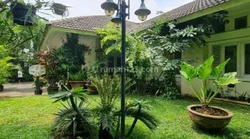 Gambar 1 Kemang Dalam Rumah Klasik Asri Yg Adem Lingkungan Sangat Nyaman 