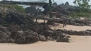 Gambar 1 Dijual Cepat Tanah Perkebunan di Bayah Lebak Banten 